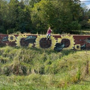 Meet your Posher, Bailey